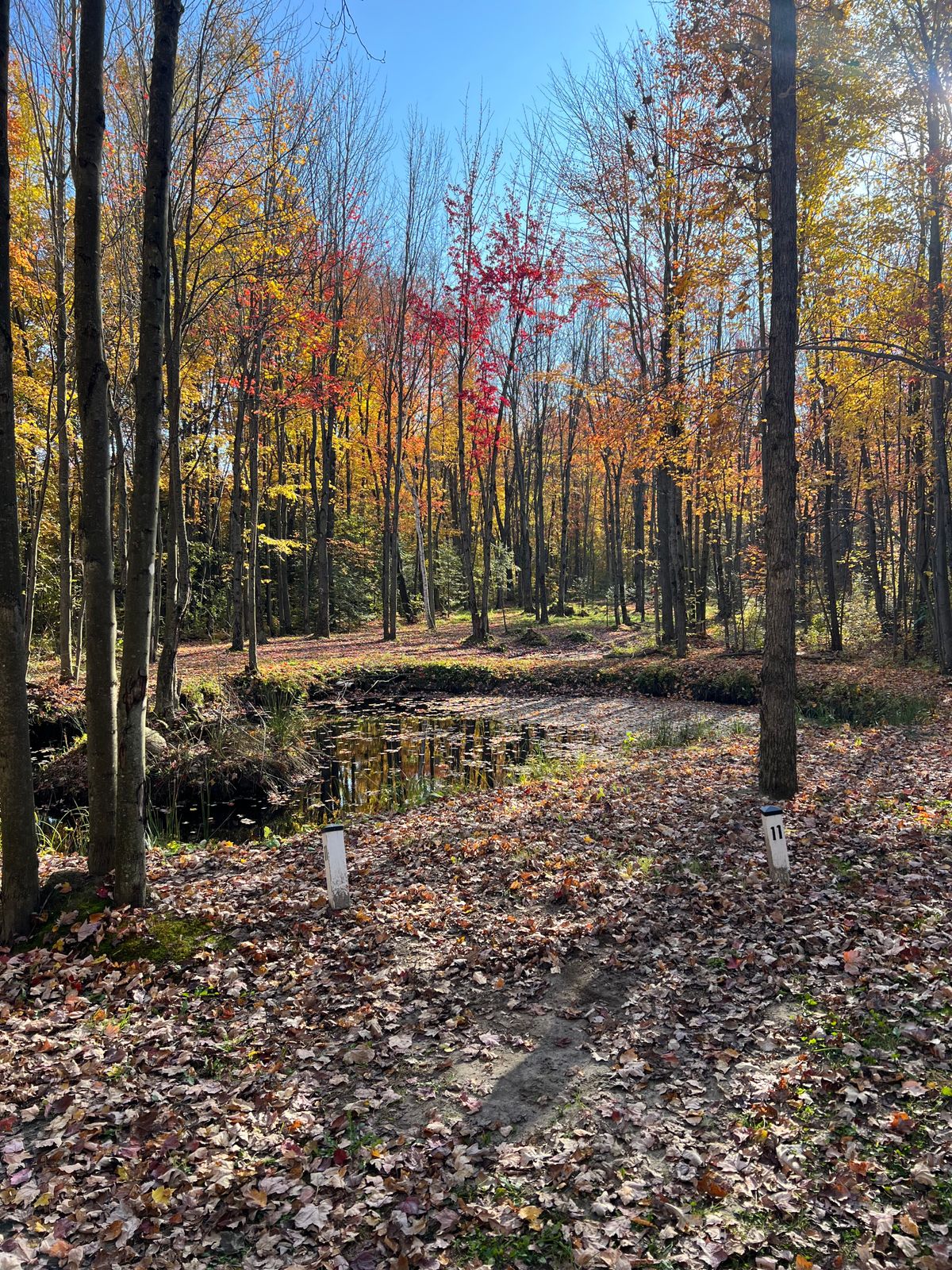 Hole 11 Whites