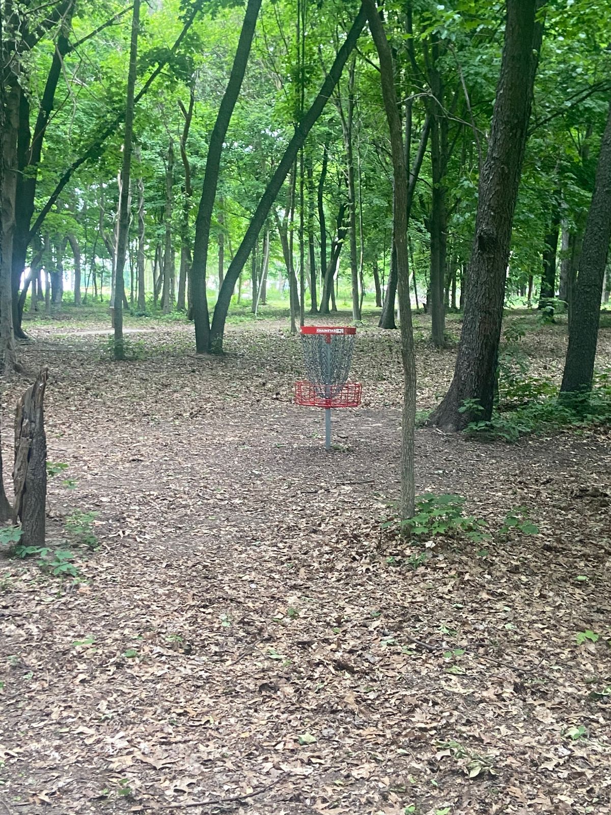 Basket on 1/10