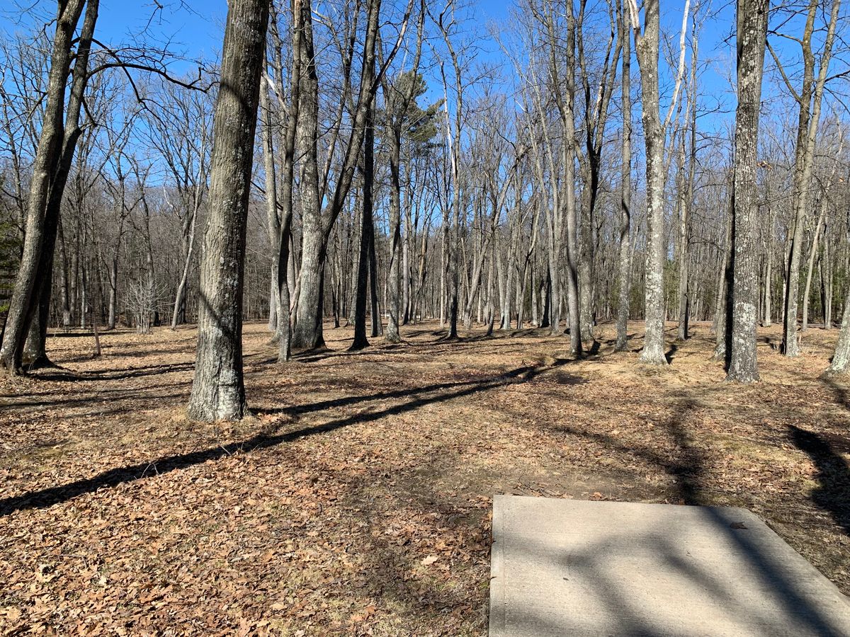 Hole 6 tee (short)
