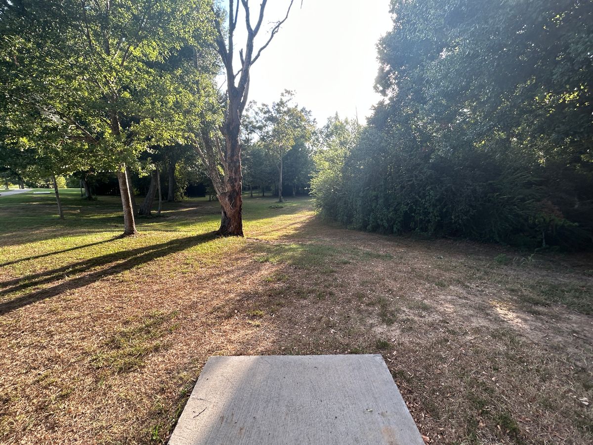 Hole 11 Fairway (Red)