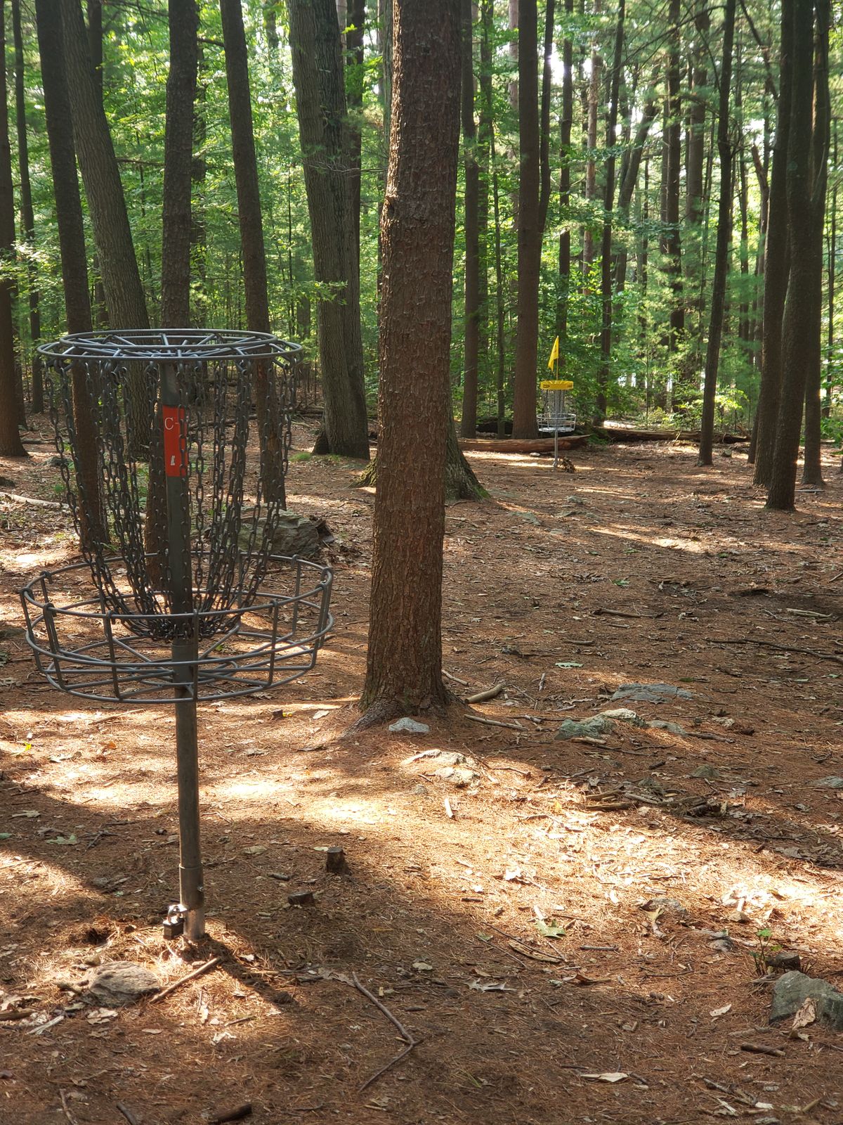 Hole 9 from Silver basket to Gold