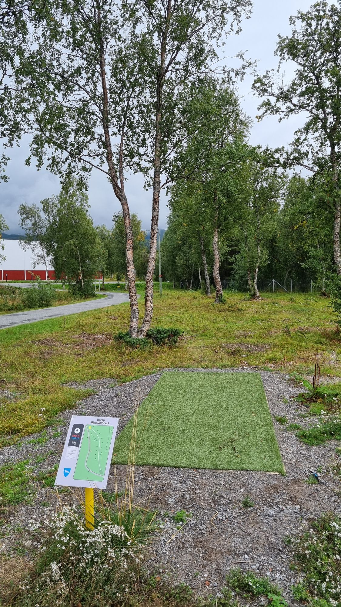 Tee 6