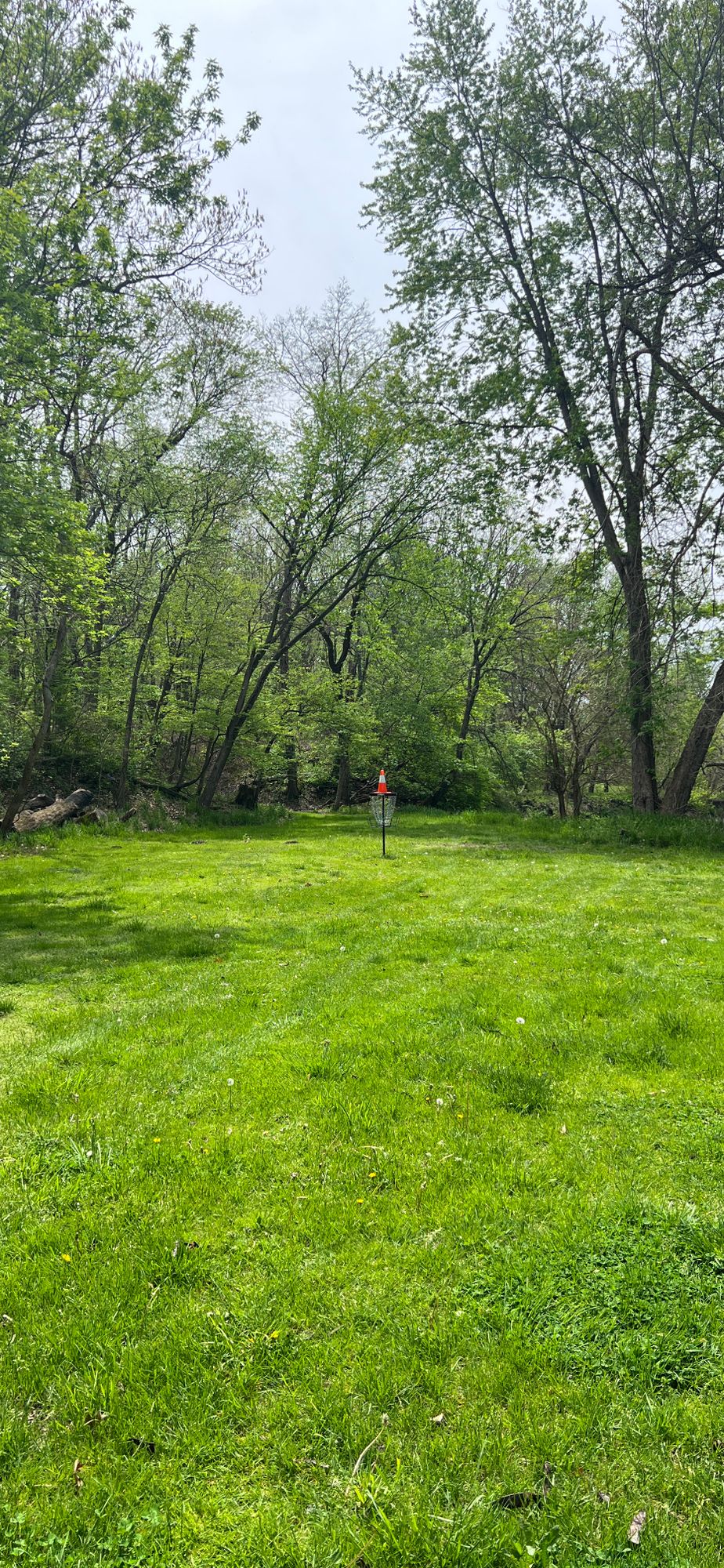 Hole 9