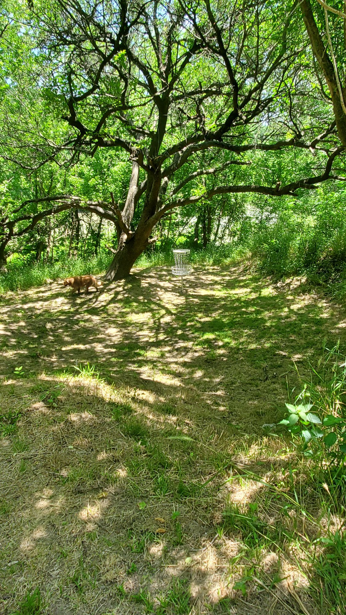 Hole 17