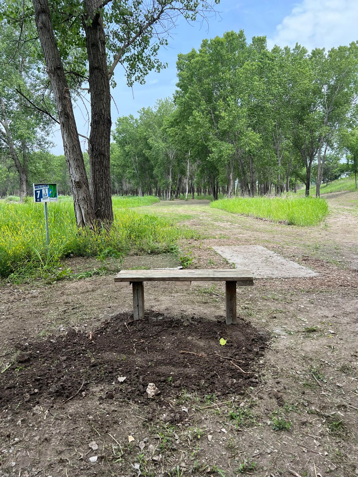 Hole 7