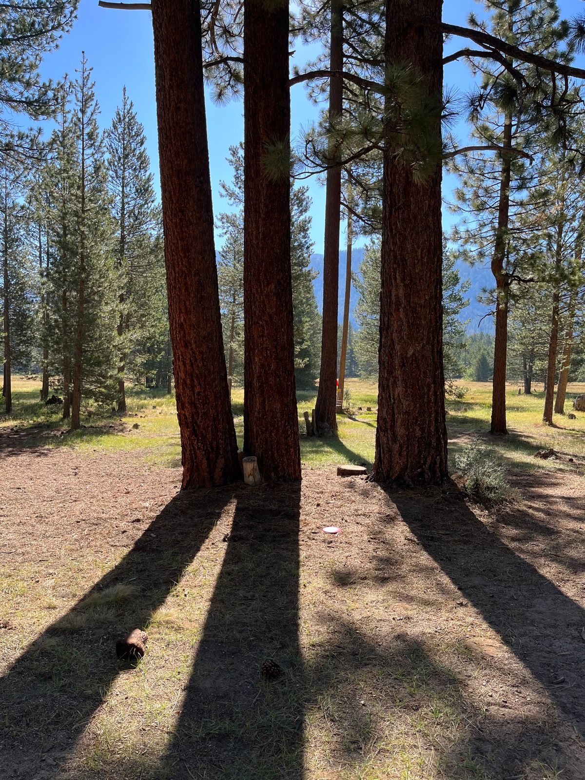 Beautiful and a joy to play. Great rubber tee pads
