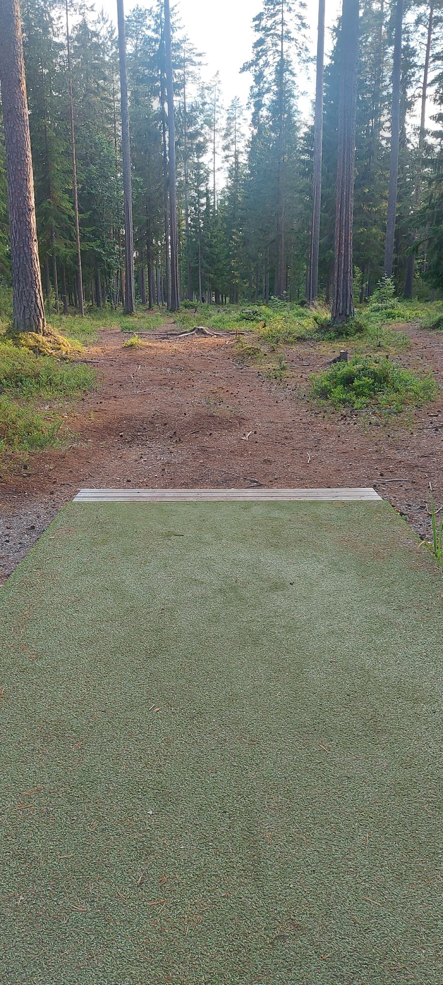 Tarinalaakso New Course tee 13