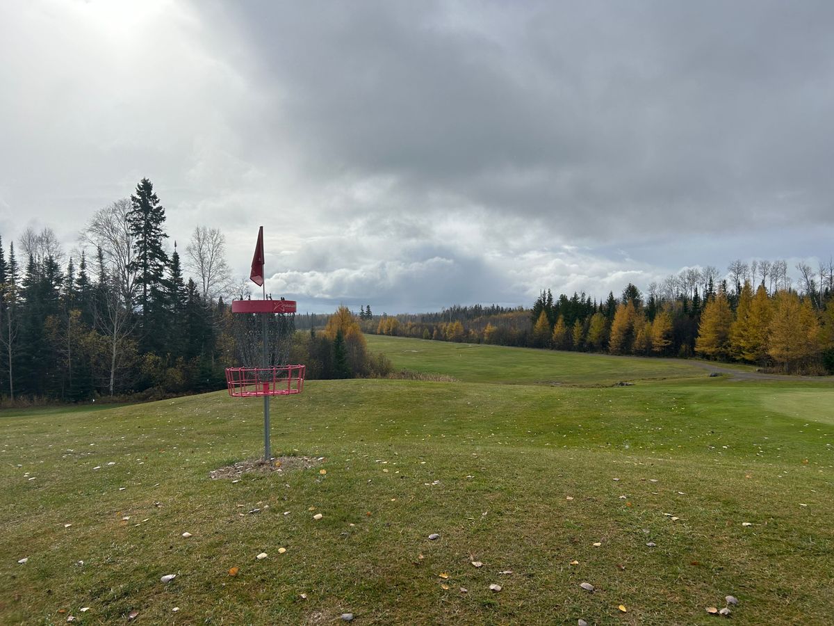 Hole 4 basket looking back towards tee