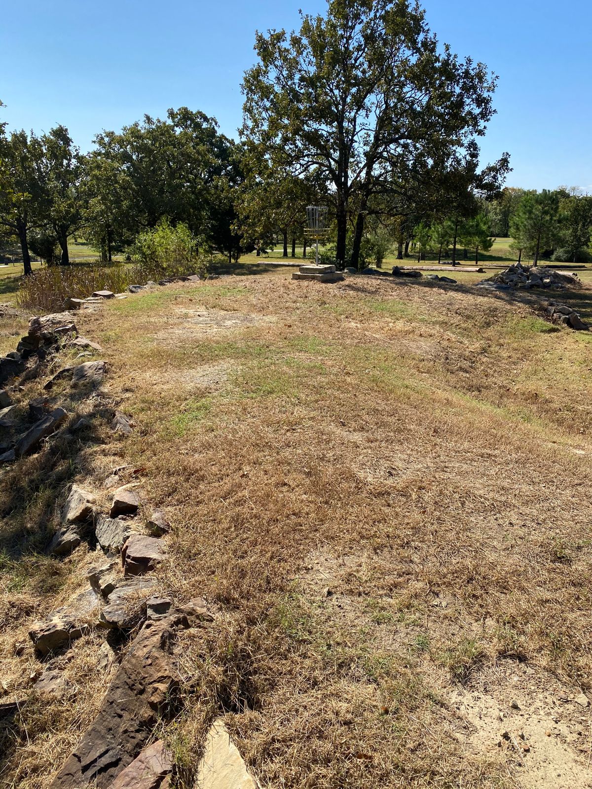 Cool green on hole 14