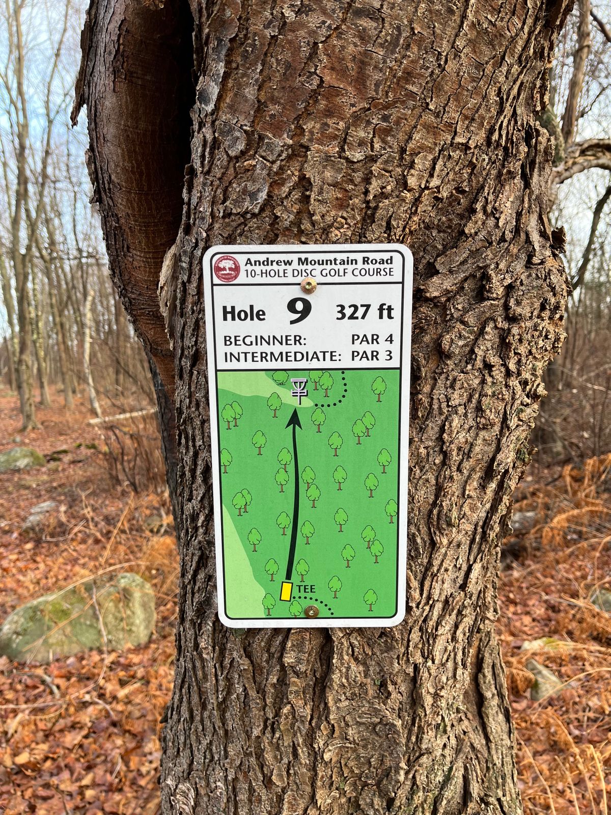 Hole 9