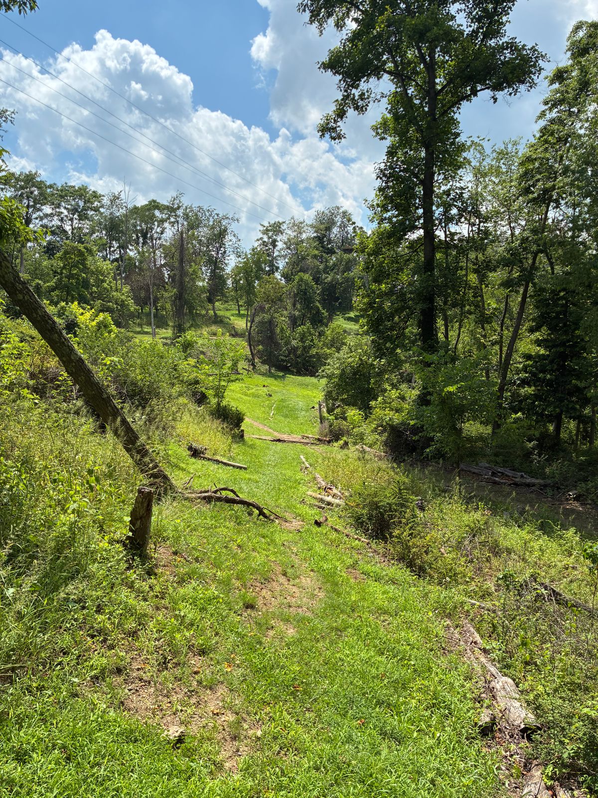 #4 Tee box.