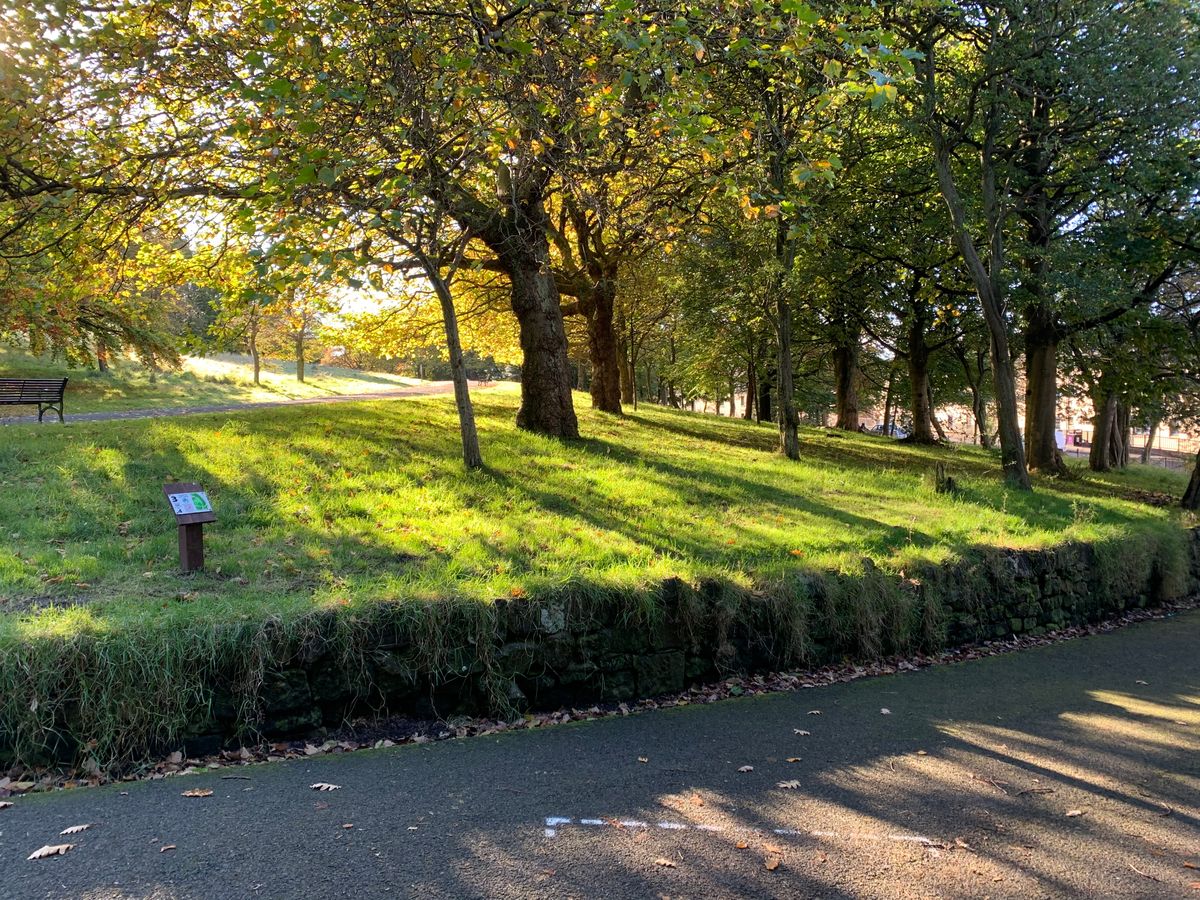 Hole 3 - Tee Area