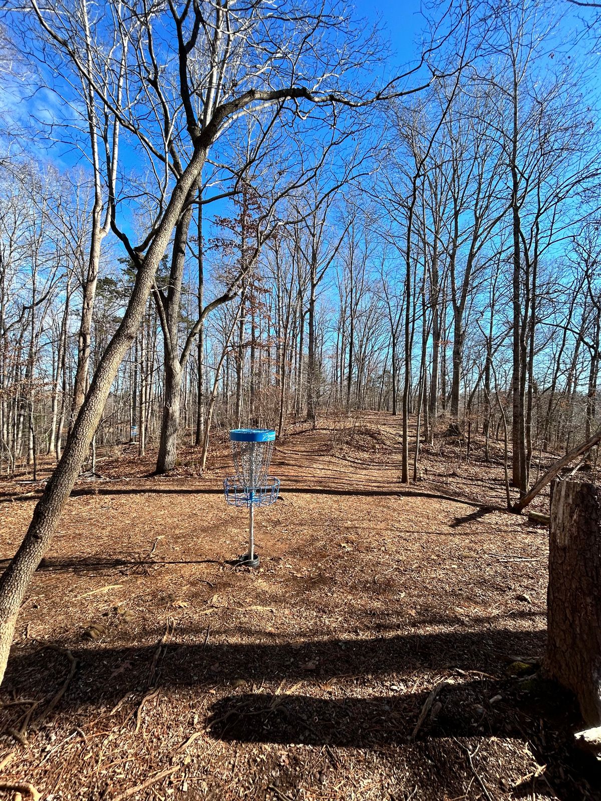 New baskets ‘23 hole 14