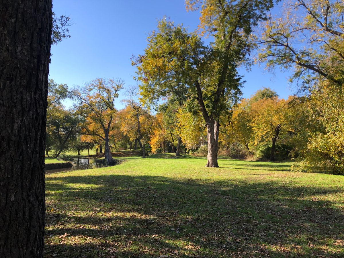 Fairway for #2