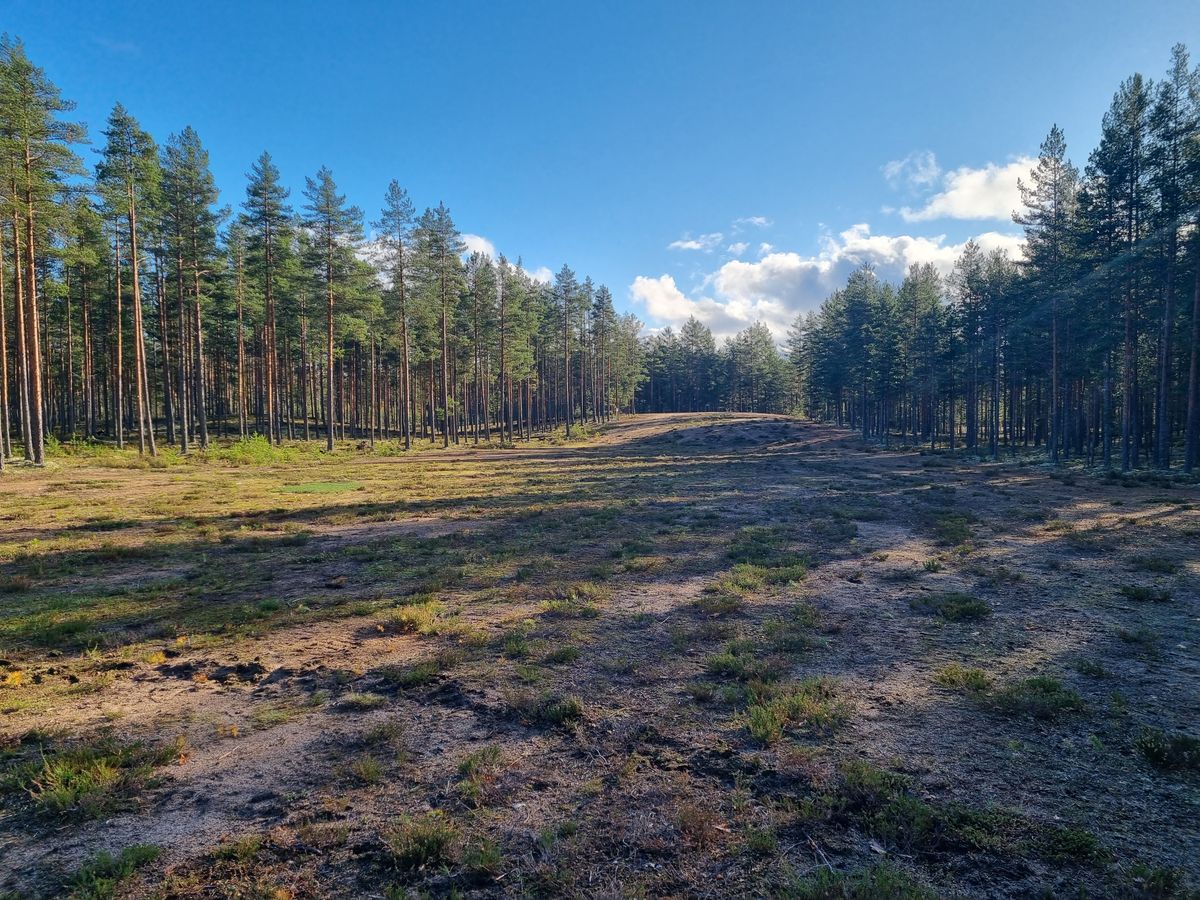 Väylä 7, kakkosheitolla pitkää heittoa kohti mäenharjannetta