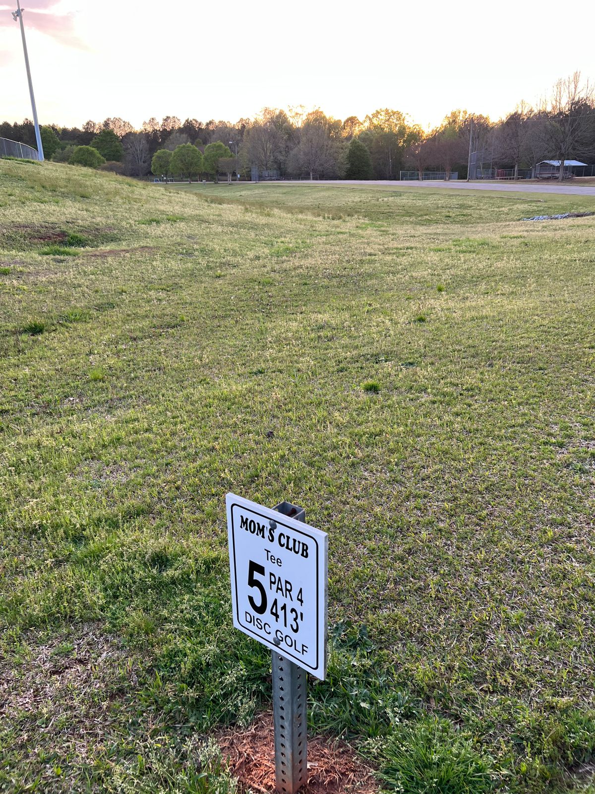 Tee 5