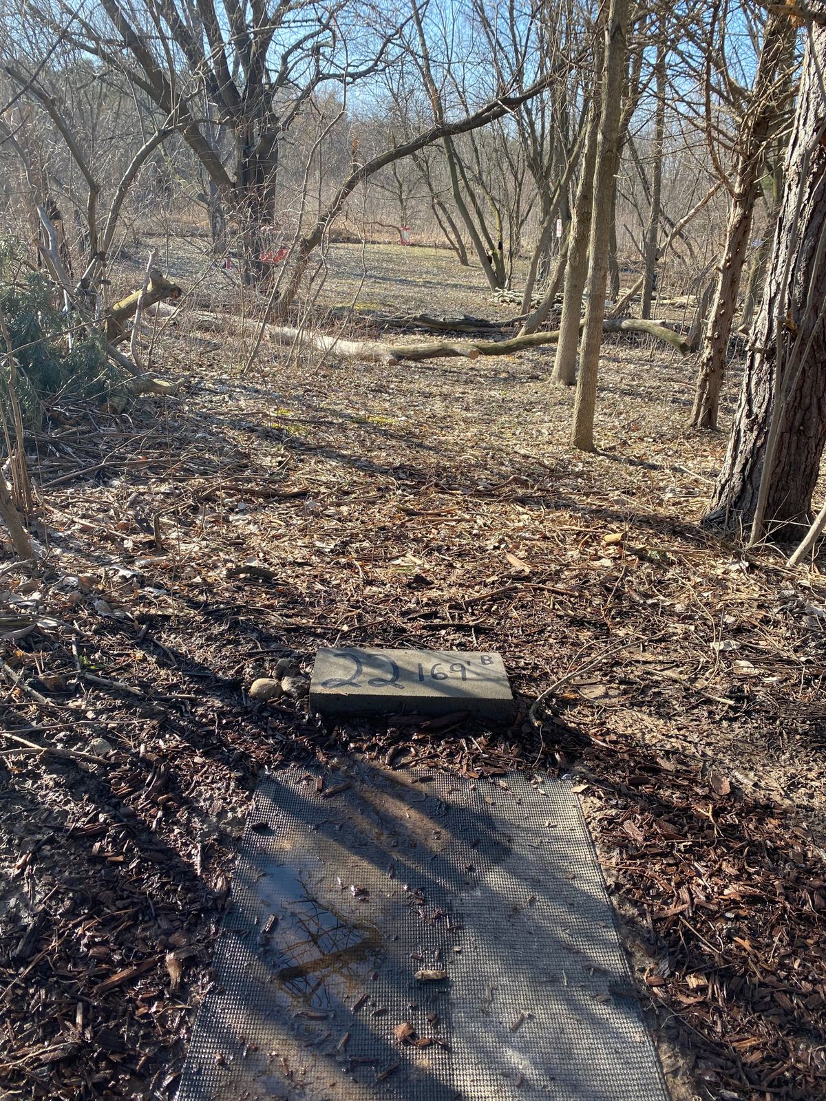 Hole 22