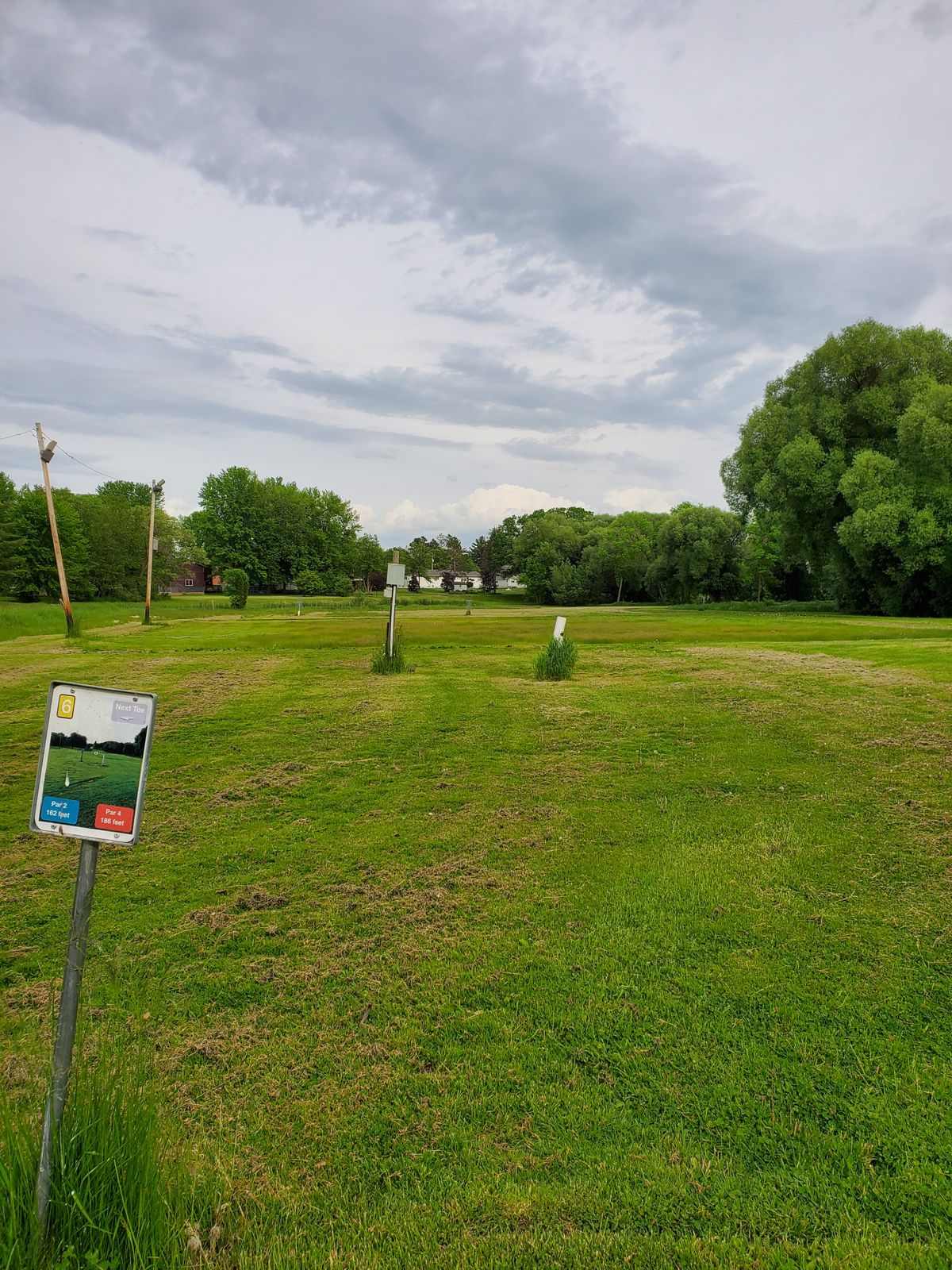 #6 tee