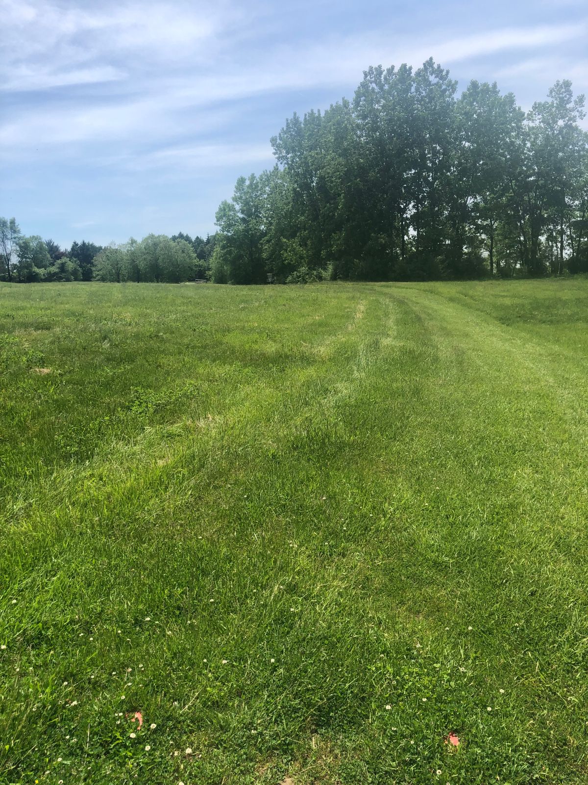 Hole 10 red tee