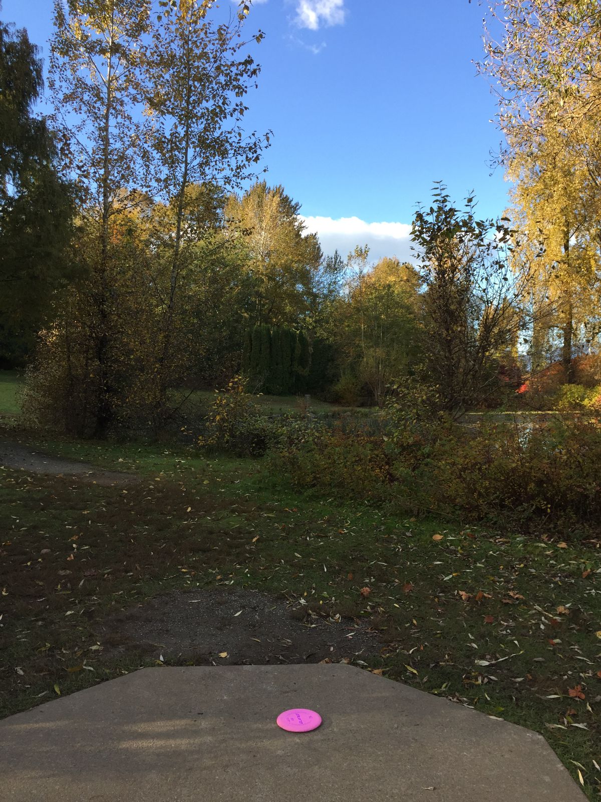 Hole 9 tee shot over the pond. The sign board says it's 240 feet, but that's the distance along the path - the straight line is more like 200 feet. It's still ok to be intimidated.