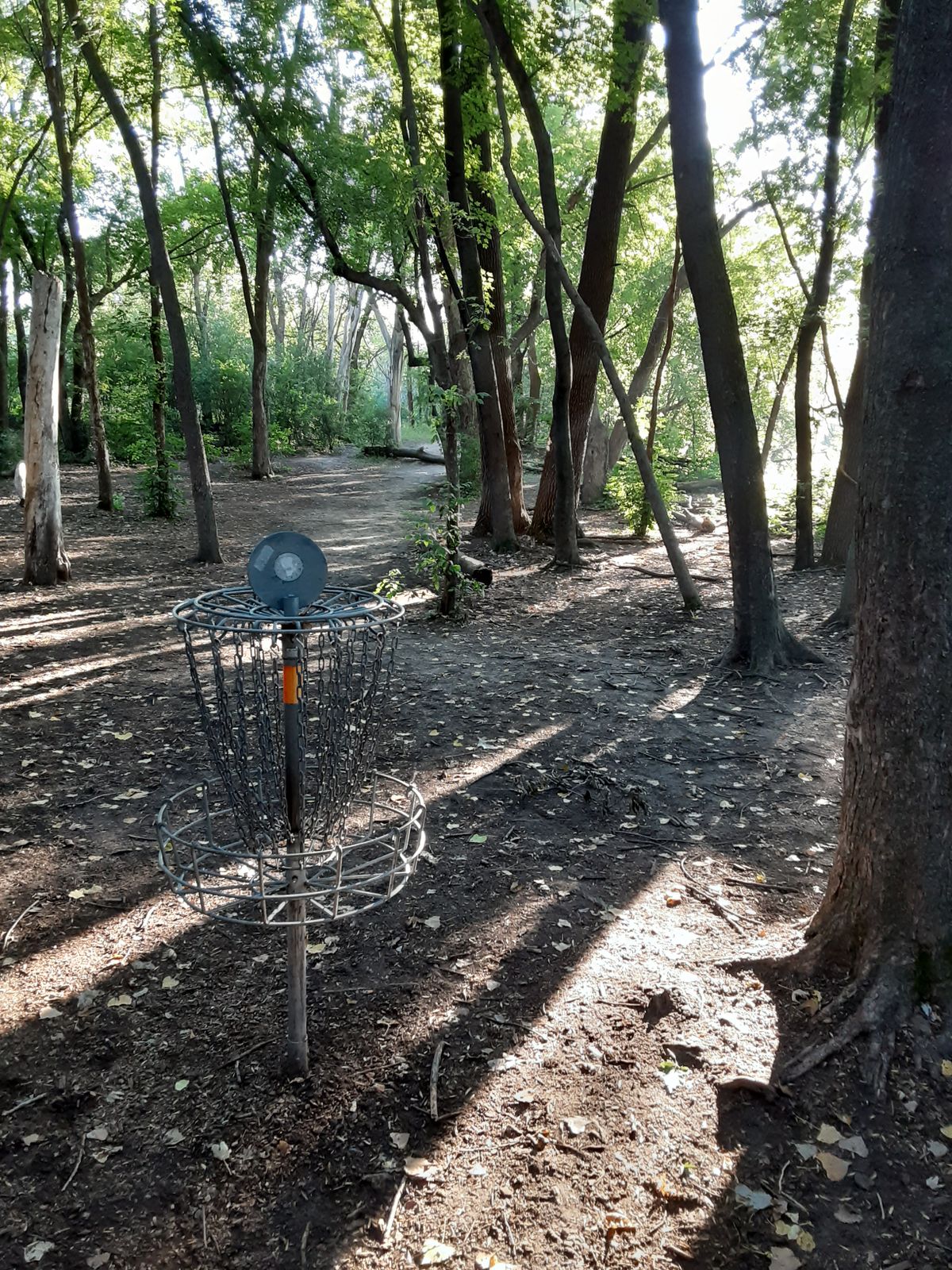 Looking back at fairway from hole 1.