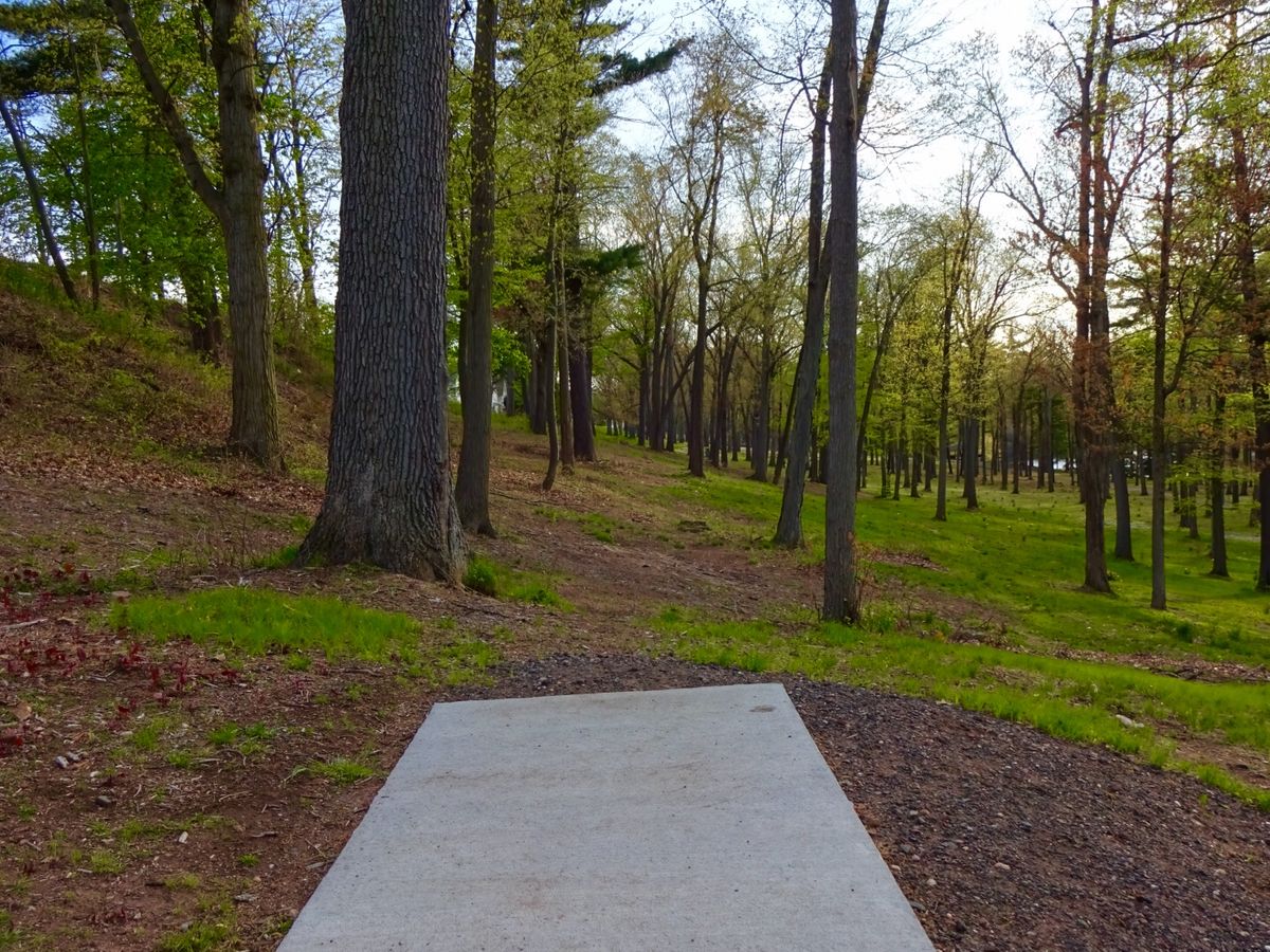 Hole 5A tee