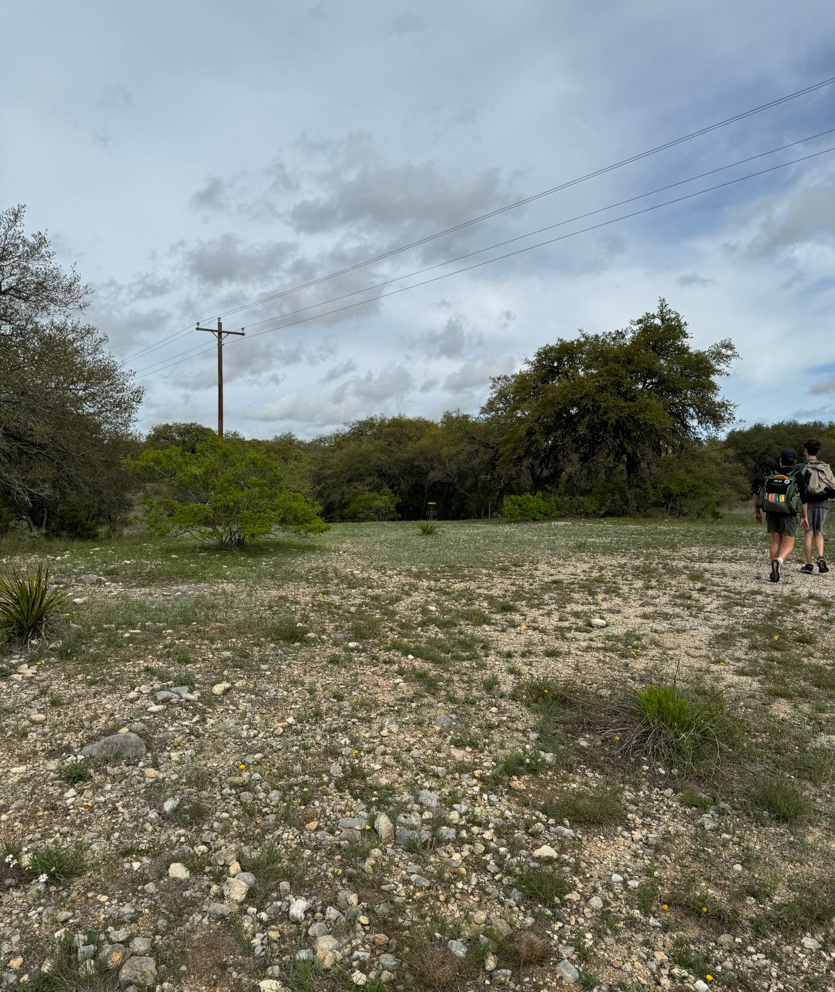 Fairway after turn