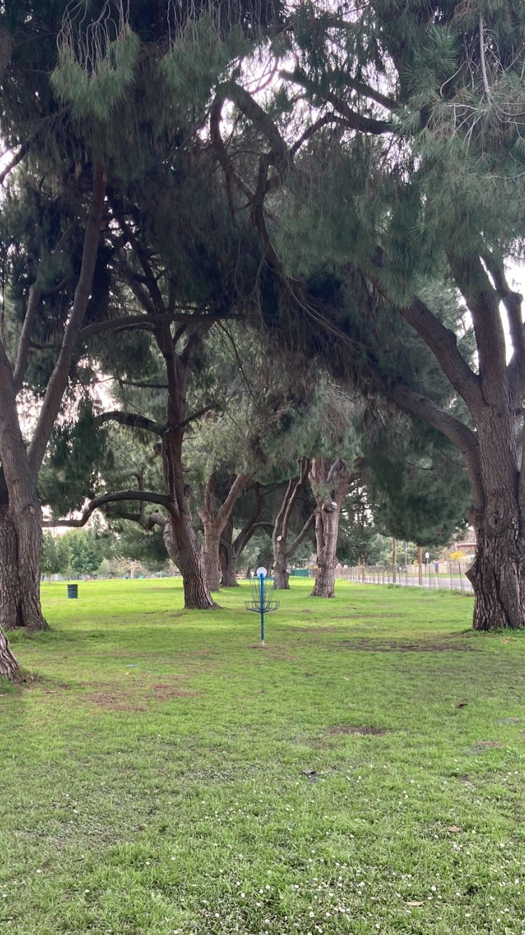 Tunnel shot for alt tee pad-hole 4