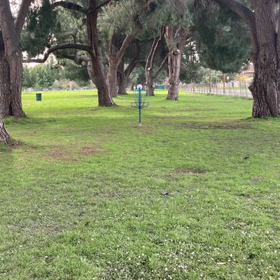 Tunnel shot for alt tee pad-hole 4