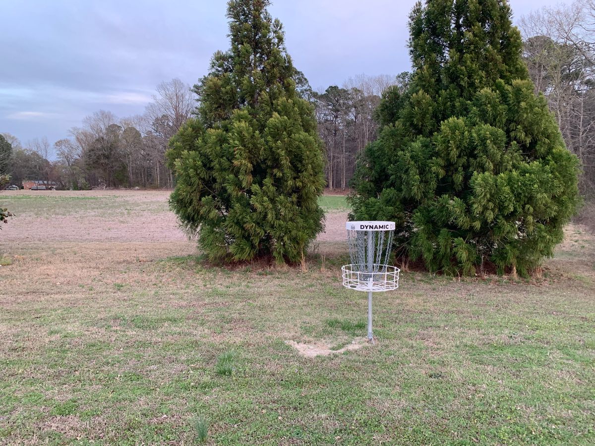 Hole 9 Basket and Green