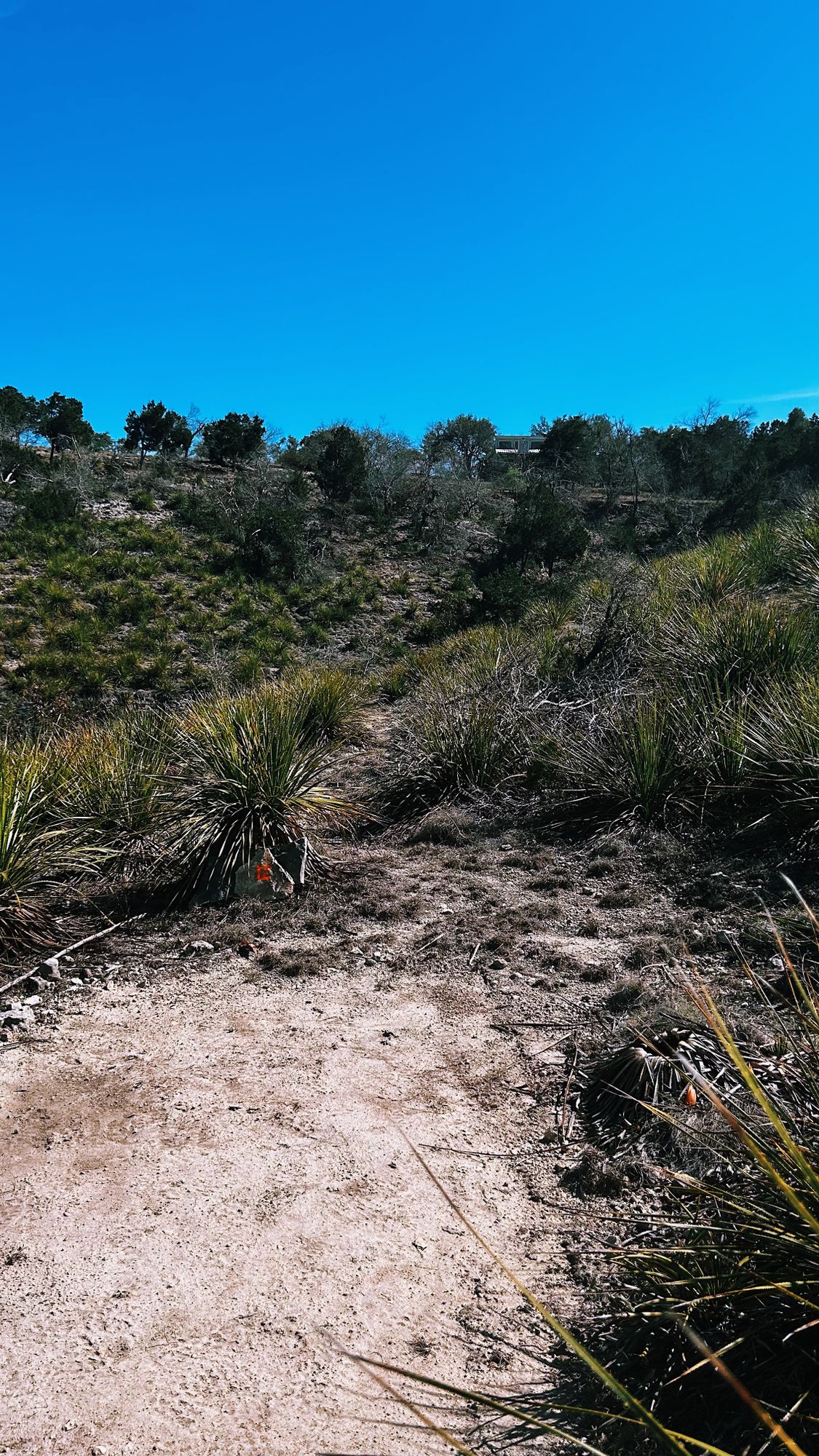 Hole 12 (third shot across the canyon)