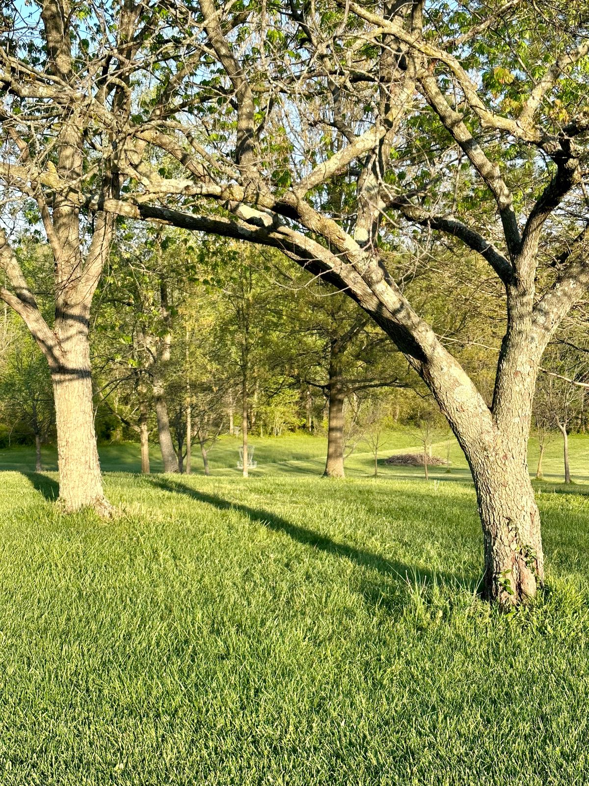 Hole 2 from fairway.