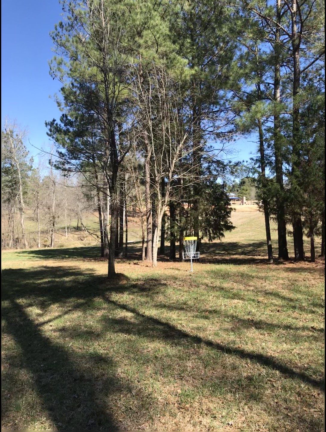 Hole 10 - basket to tee