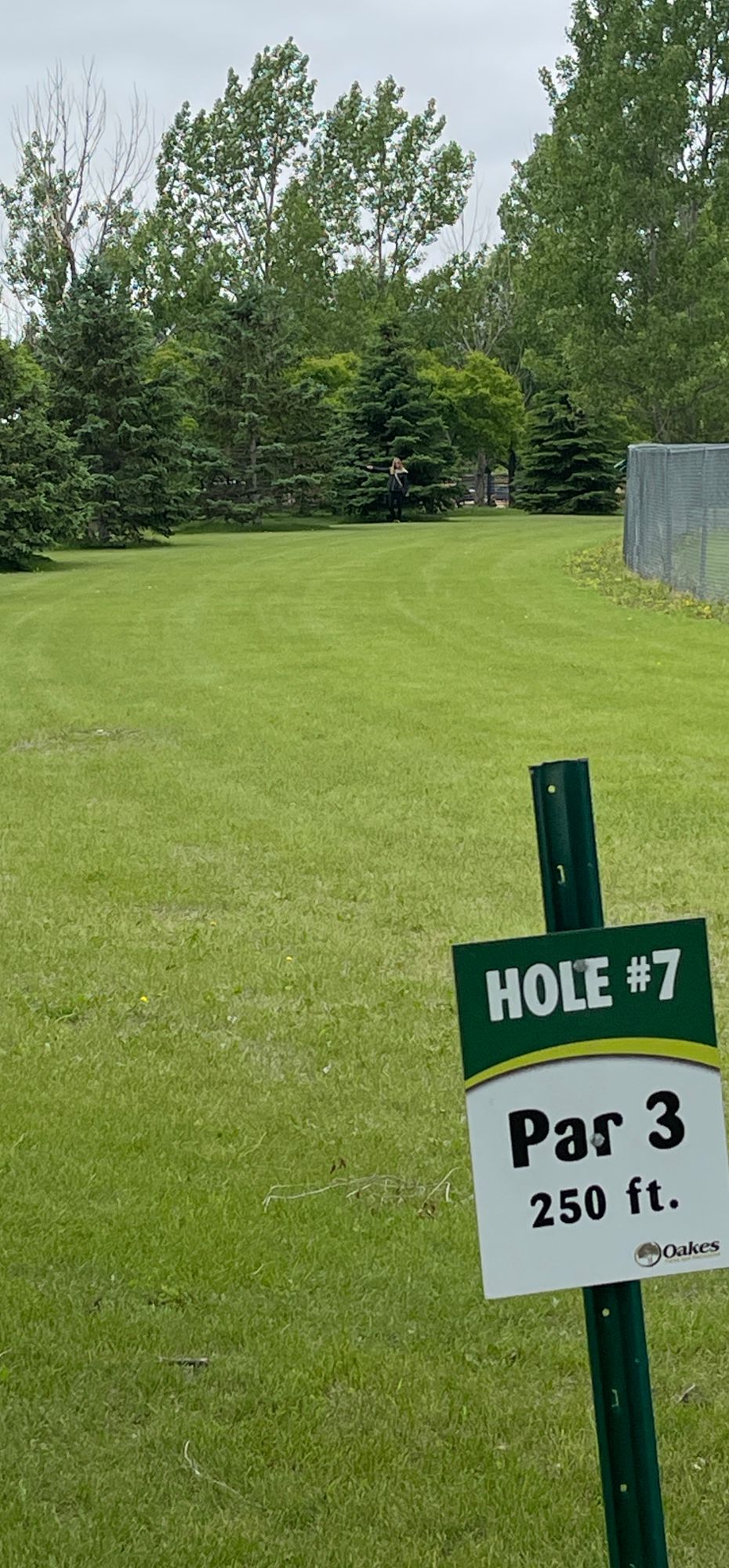 Hole 7, 250’