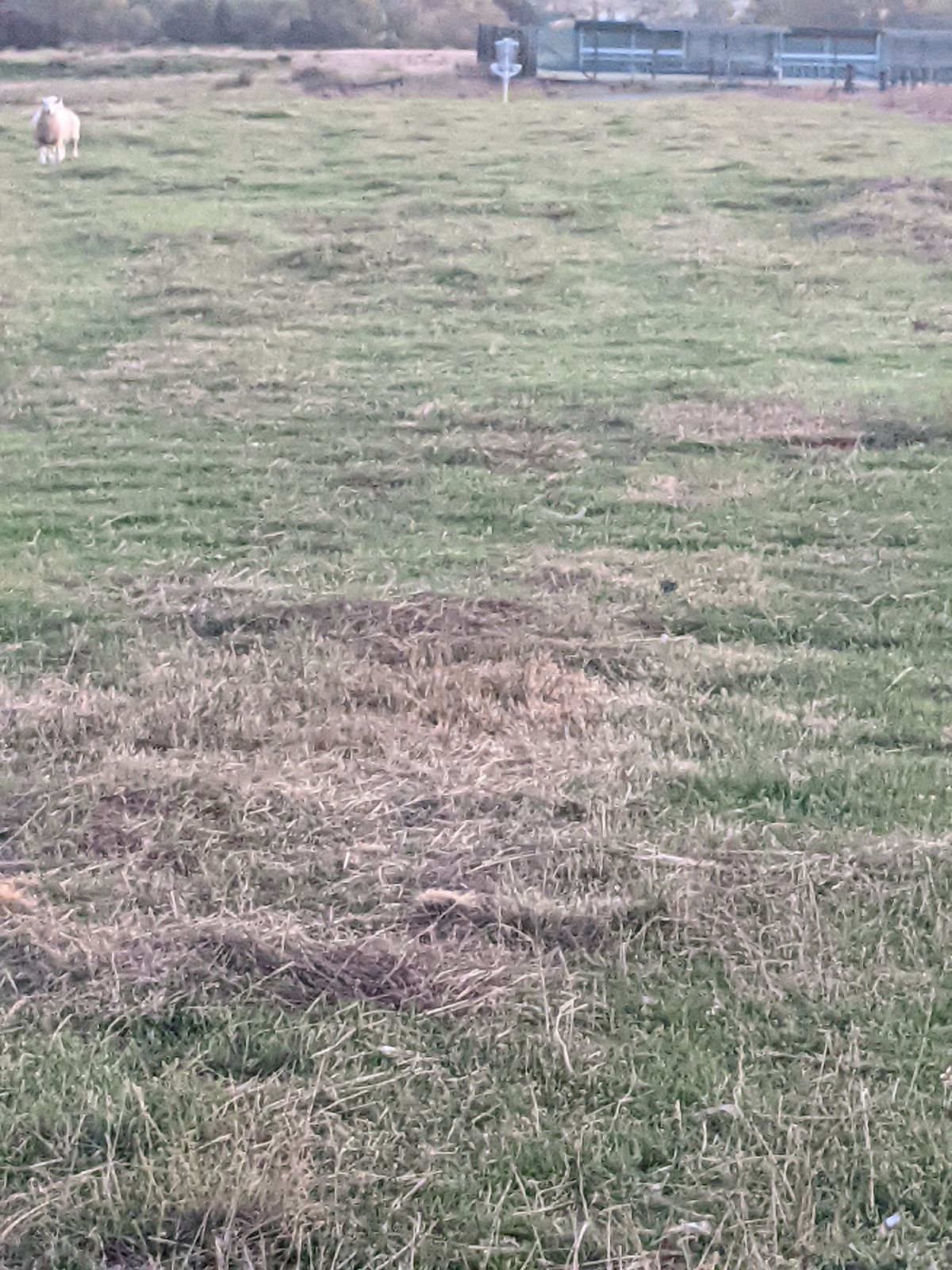Hole 9