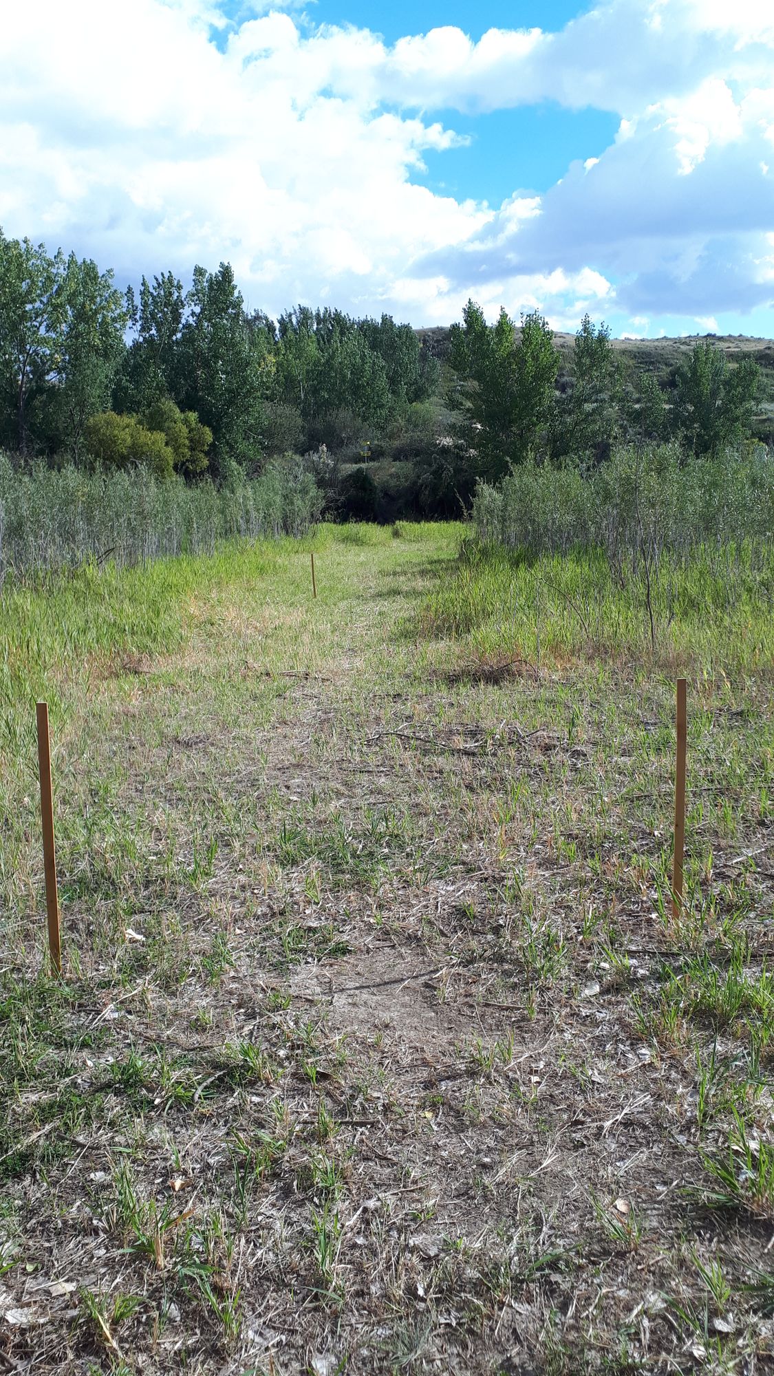 Hole 8 tee