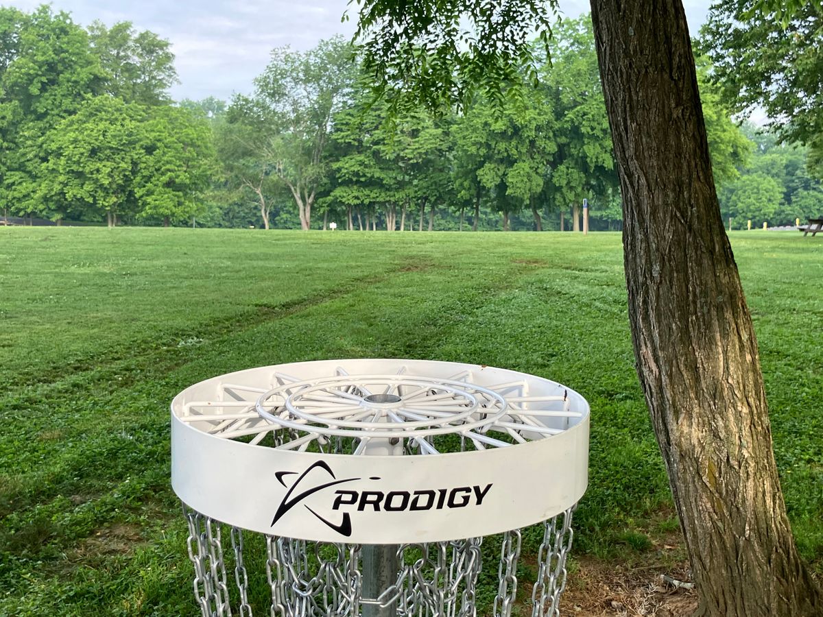Hole 4 basket looking at the tee box.