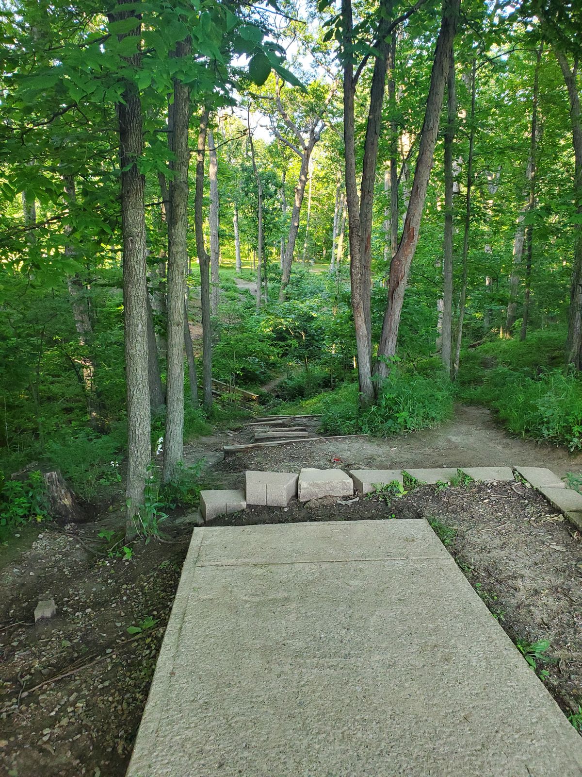 Hole 9 Short Tee Pad
