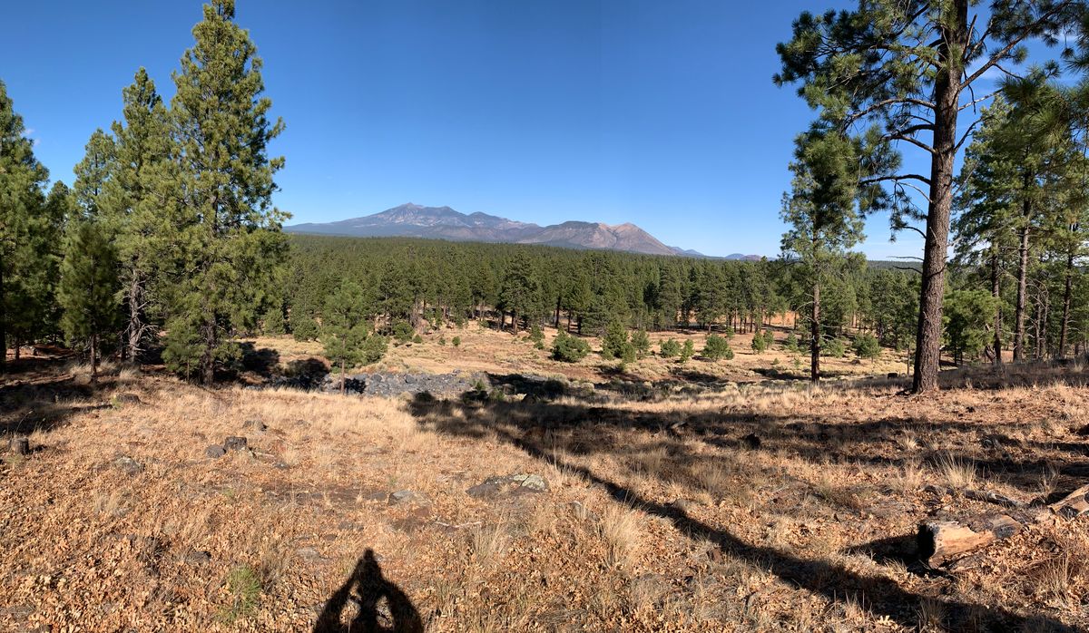 Hole 10 view