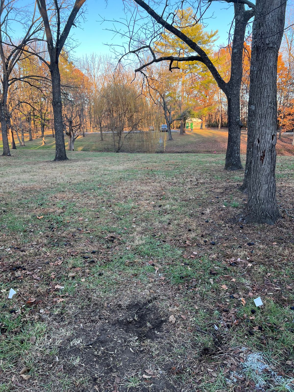 Hole #1