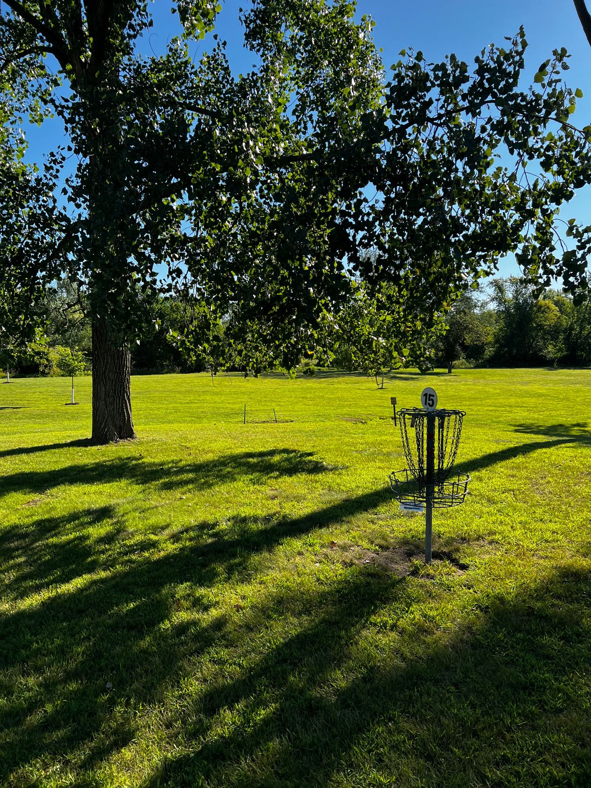 Hole A Basket