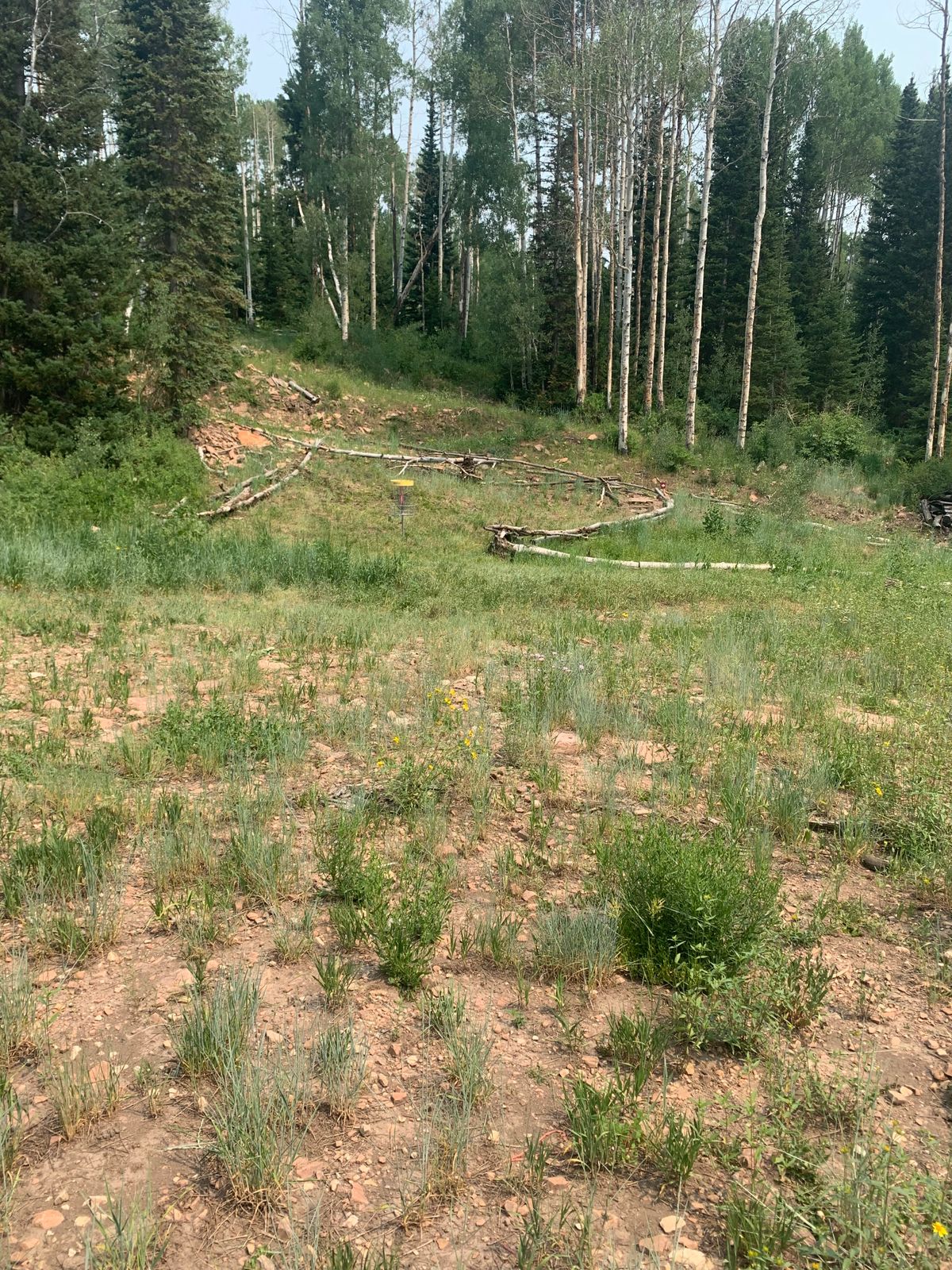 Hole 4 green