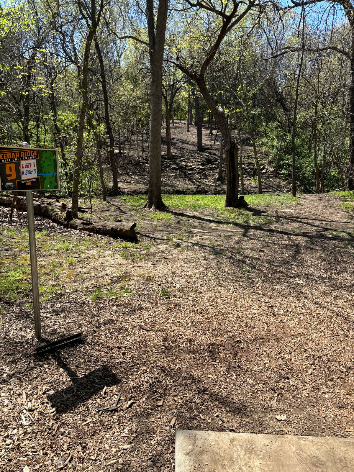 Hole #9