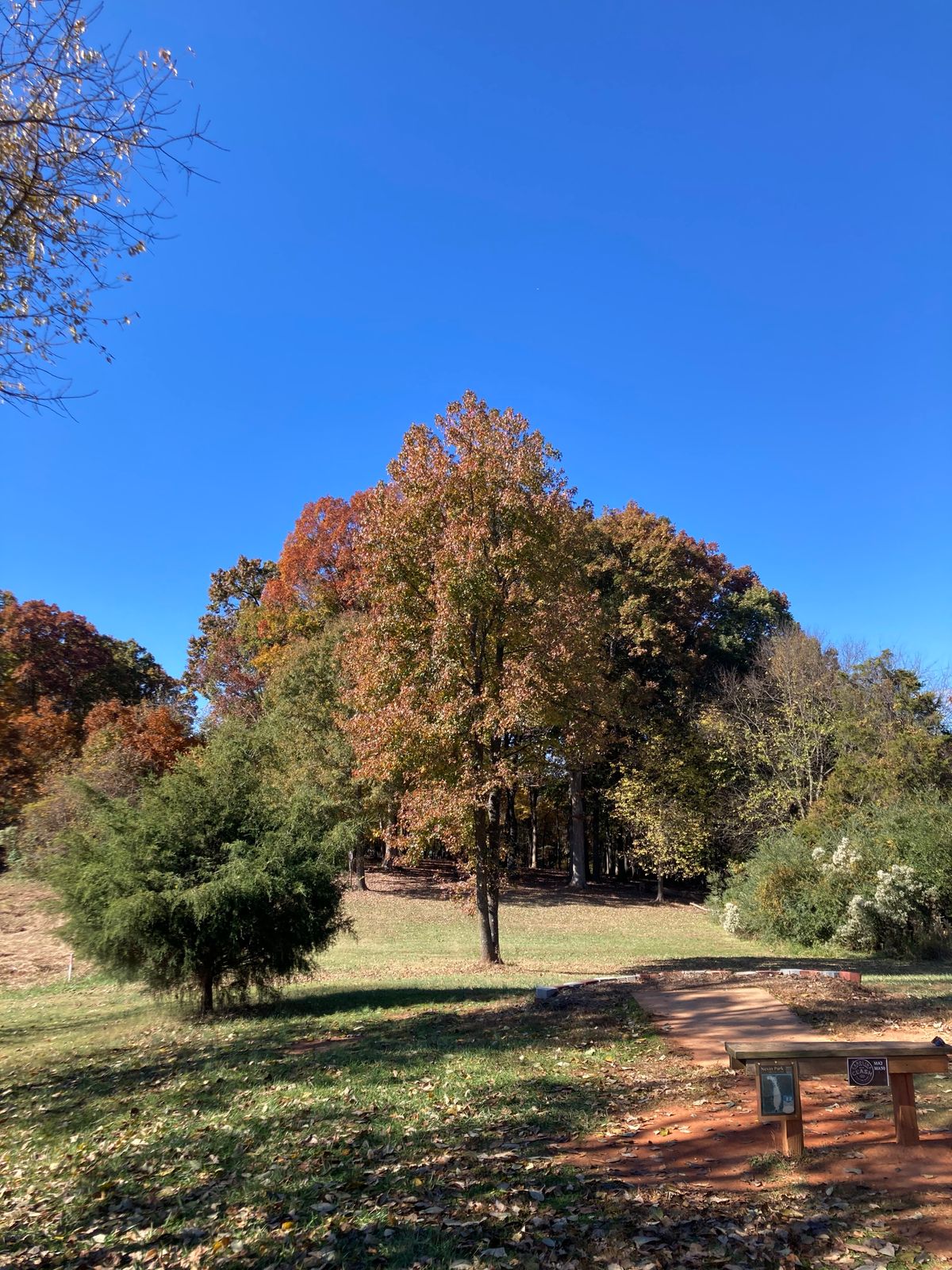 Hole 12 from the Short Teepad