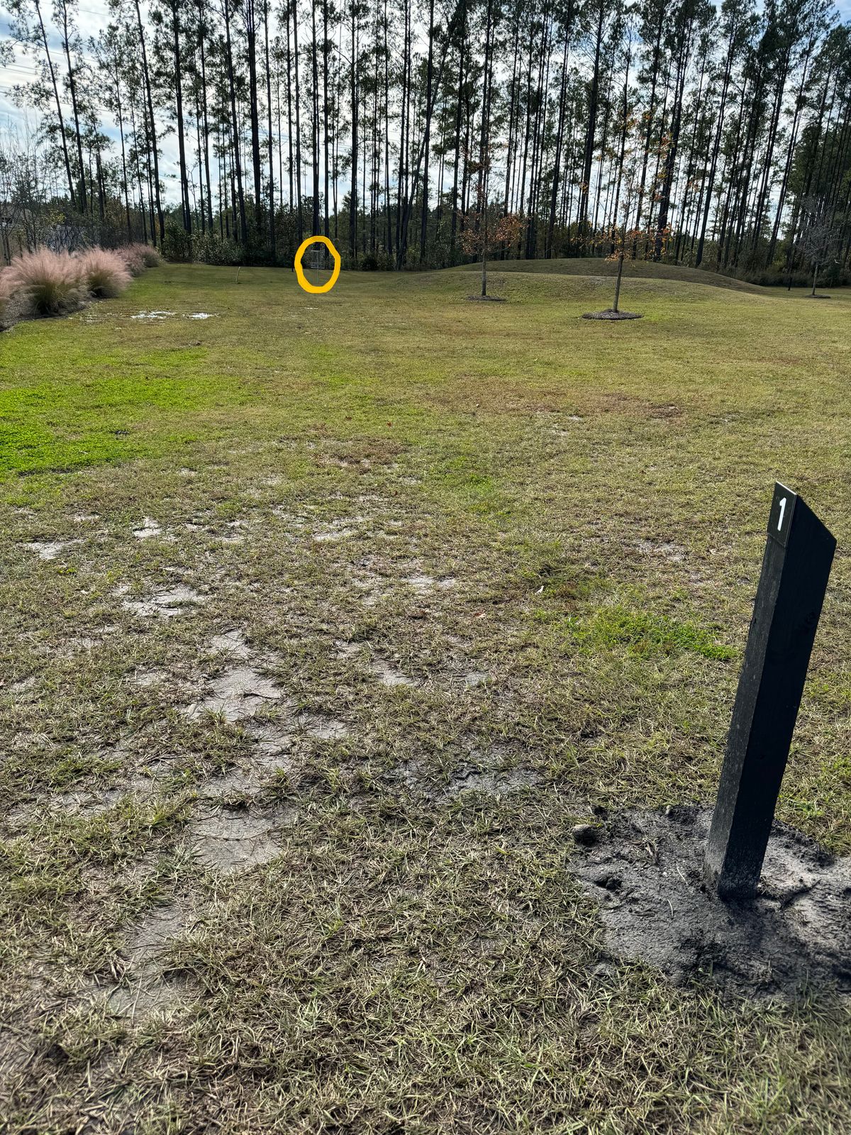 #1 fairway