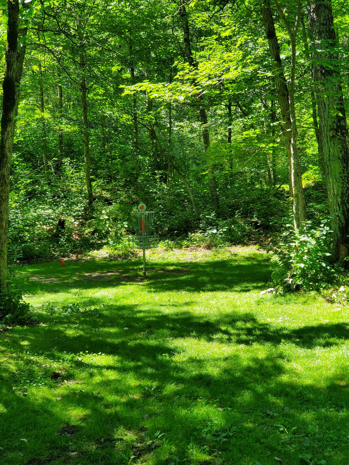 Hole 4