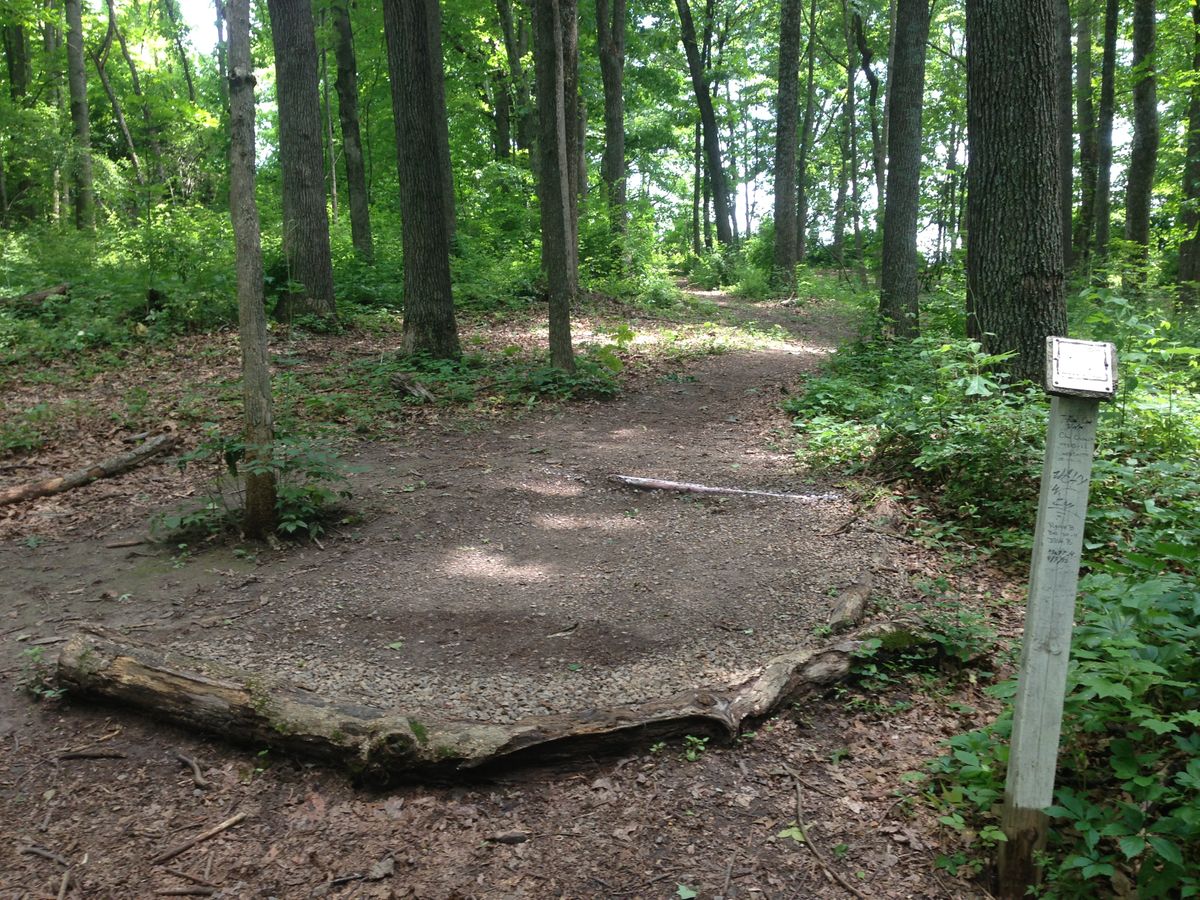 Hole 9