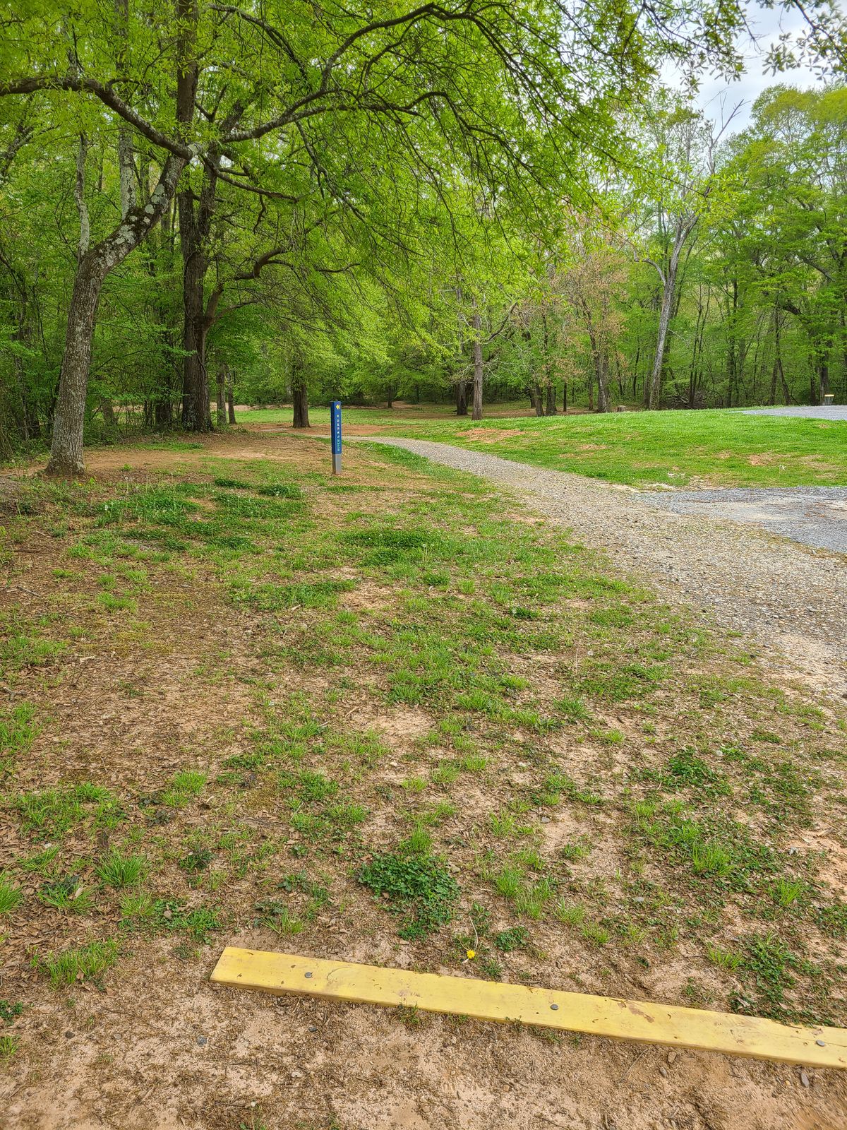 Hole 5 from tee