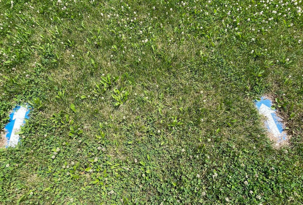Tee for hole #1