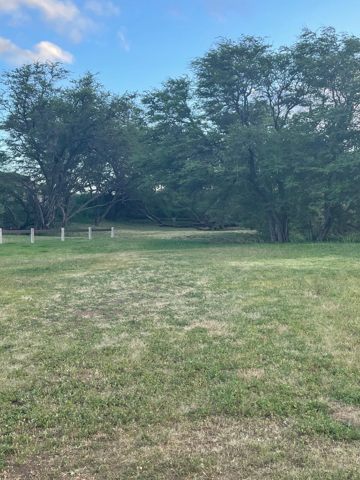Hole 6